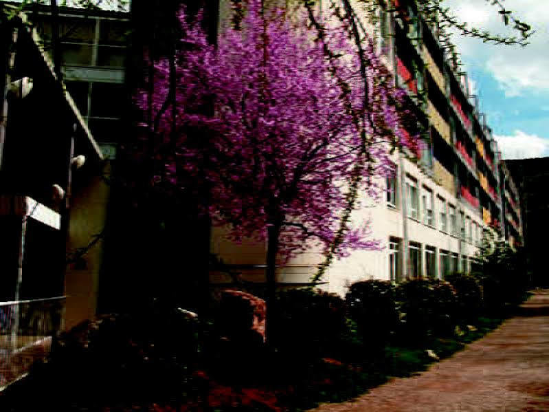 Hotel Balneario Sicilia Jaraba Eksteriør billede